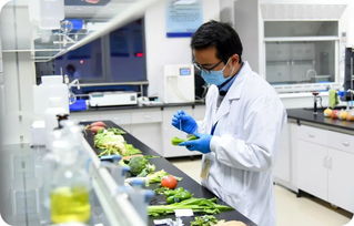 信息技術助力食安監管，徐州雨潤承辦全省快檢信息采集座談會